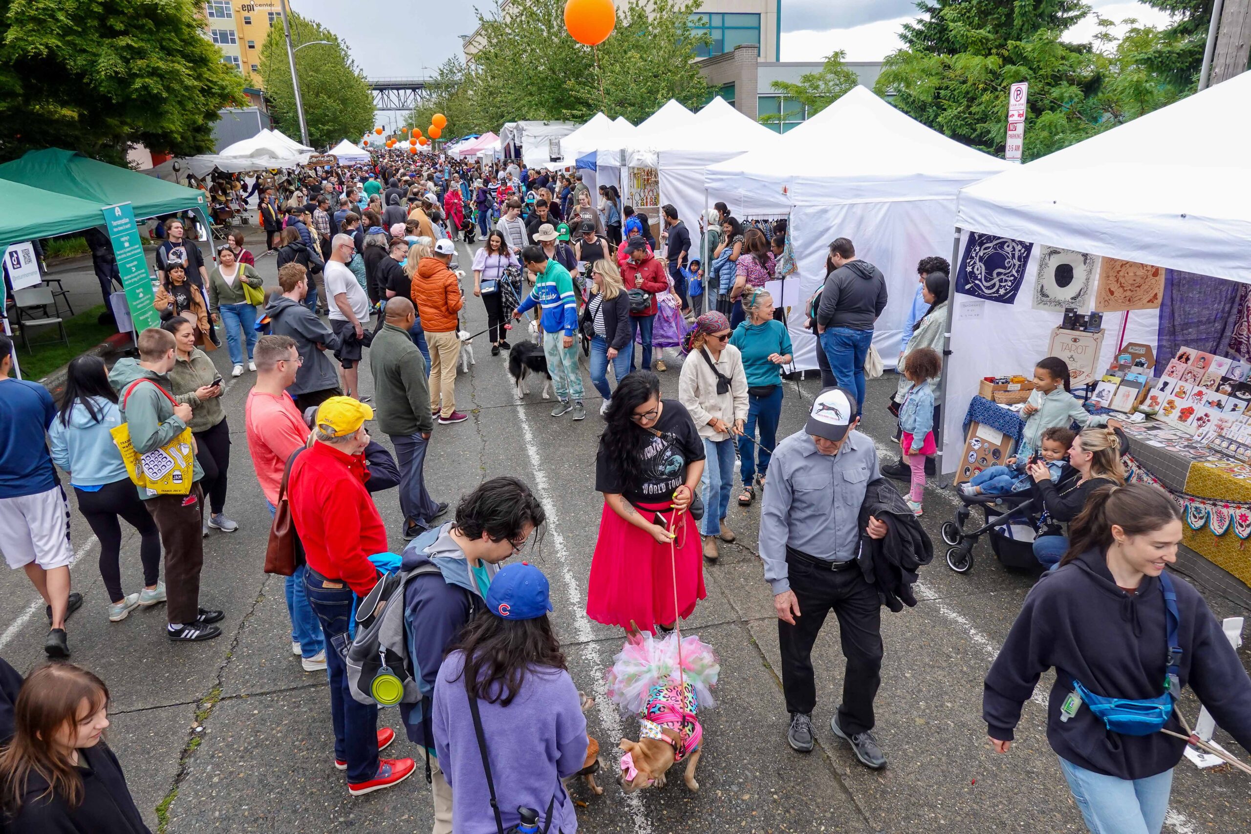 Festival and fair crowd